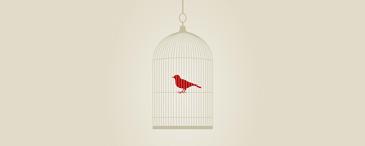 网站攻击软件工具